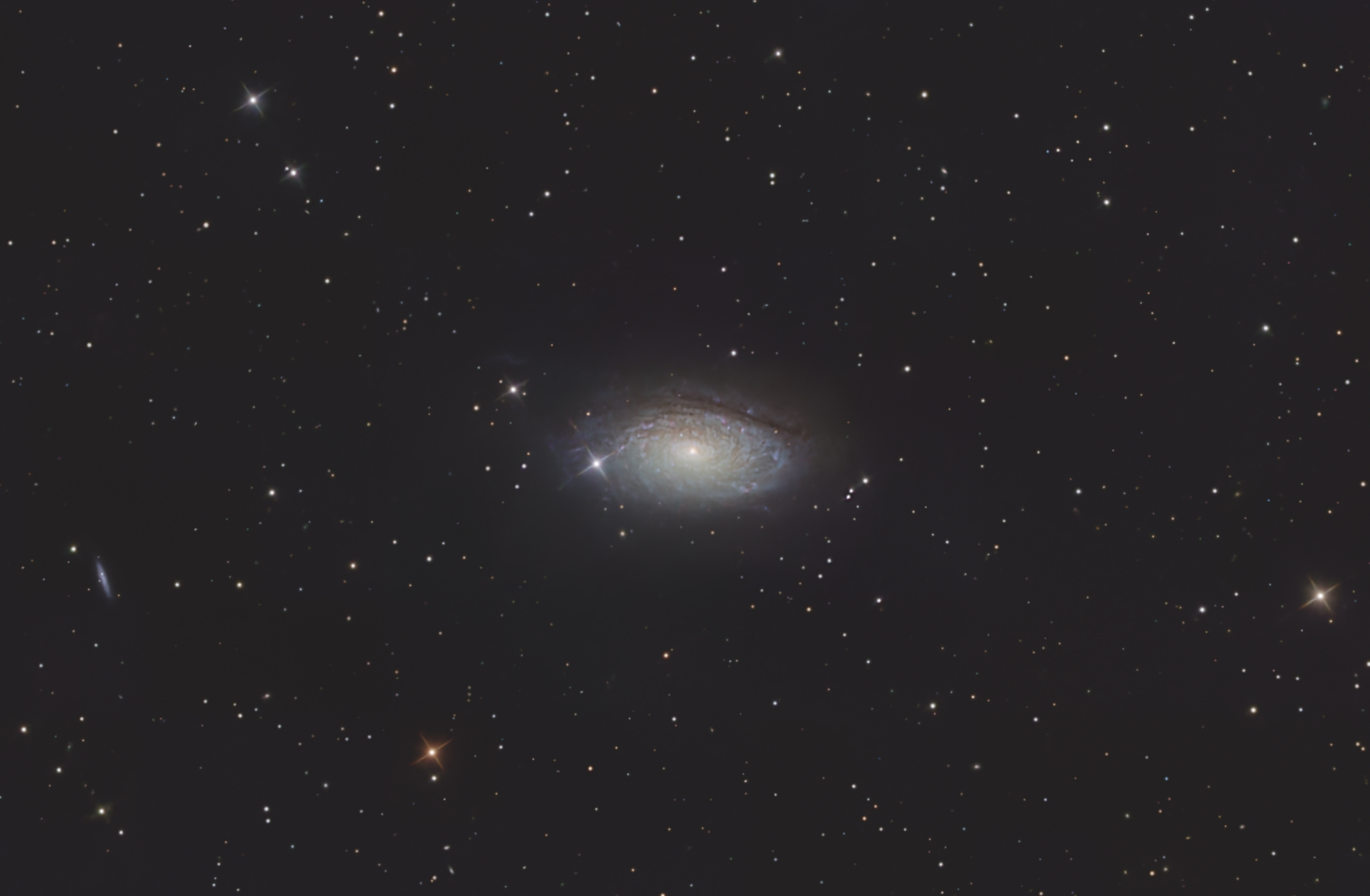 Die Sonnenblumen-Galaxie Messier 63 ist eine Spiralgalaxie im Sternbild Jagdhunde am Nordsternhimmel und besitzt einen Durchmesser von ca. 50.000 Lichtjahren. Ungewöhnlich und namensgebend sind die vielen, gut sichtbaren, knötchenartigen Verdichtungen in ihren Spiralarmen. Es handelt sich dabei um Sternentstehungsgebiete und leuchtende Gaswolken.